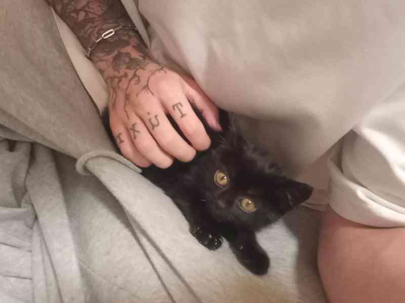 Bude mít drobeček štěstí? - foto 1