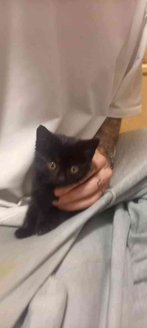 Bude mít drobeček štěstí? - foto 2