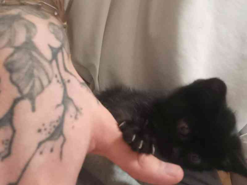 Bude mít drobeček štěstí? - foto 3