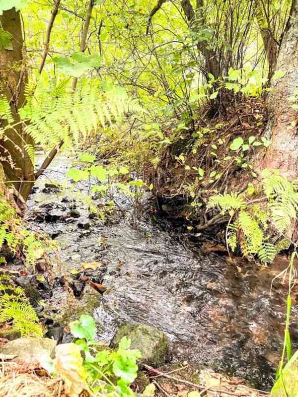 Prodej stavebního pozemku 1 038 m², Prysk - Horní Prysk - foto 10