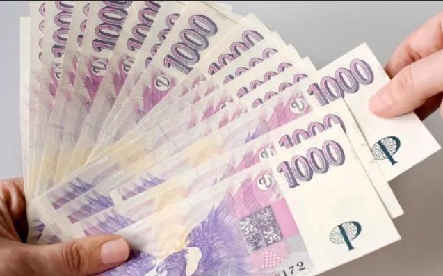 Finanční pomoc - foto 1