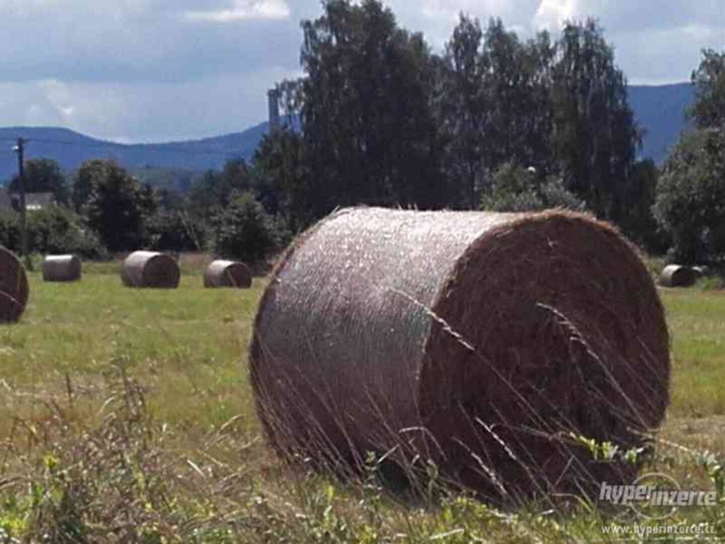 SENO kulaté balíky 130cm, z ekologického zemědělstí