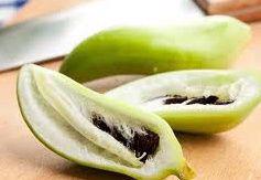AČOKČA 10 semen Paprikookurka Mexická okurka lahodná chuť - foto 2