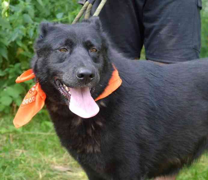 Daxi - foto 16