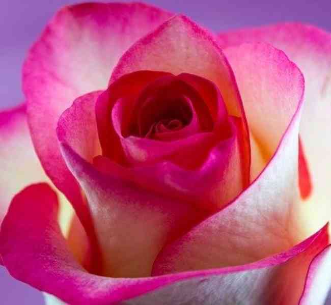 Casting pro slečny na focení - natáčení