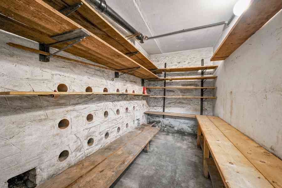 Prodej vily 254 m², pozemek 1752 m² Litoměřická, Ústí n.L. - foto 15