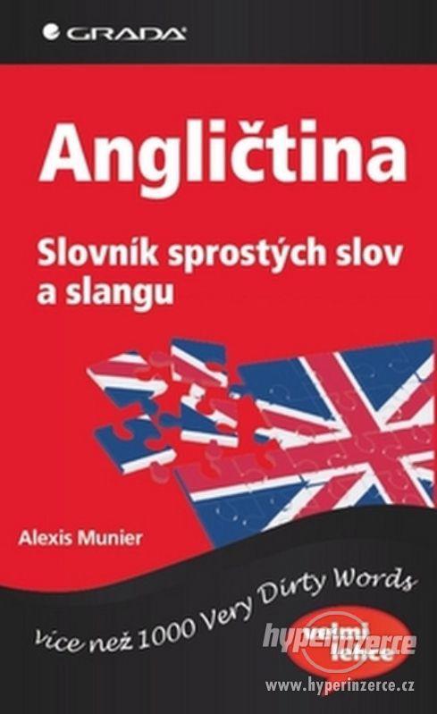 Koupim Angličtina Slovník sprostých slov a slangu