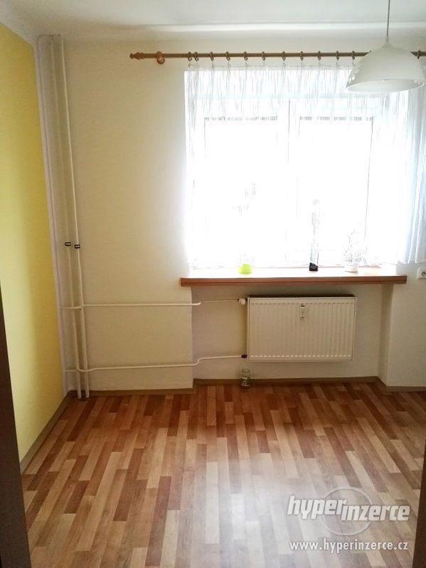 Pronájem bytu 1+1 Dolní Benešov - Osada míru - foto 3