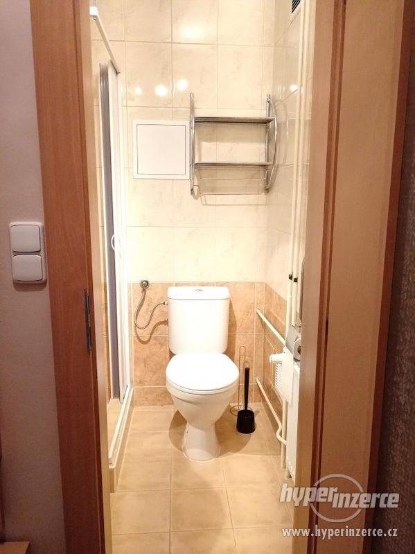 Pronájem bytu 1+1 Dolní Benešov - Osada míru - foto 9
