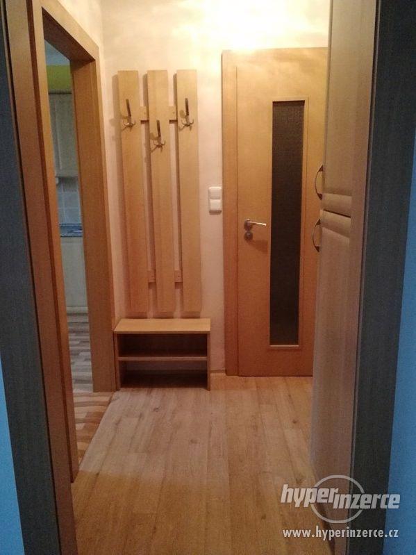 Pronájem bytu 1+1 Dolní Benešov - Osada míru - foto 10