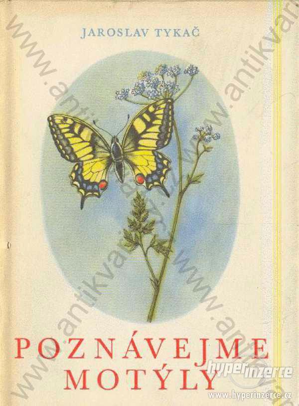 Poznávejme motýly Jaroslav Tykač SPN, Praha 1963 - foto 1