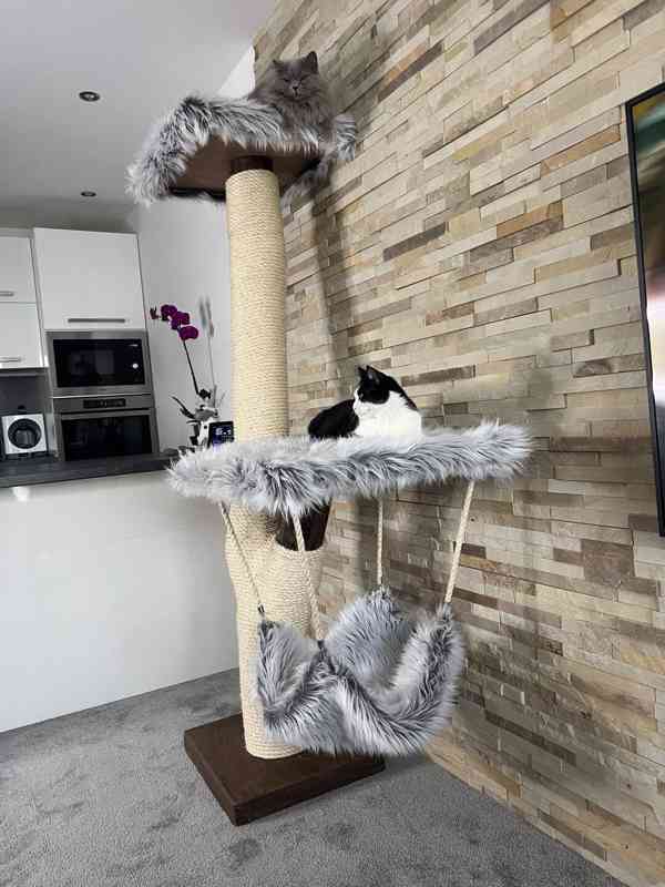 Škrabadlo pro kočky  - foto 2