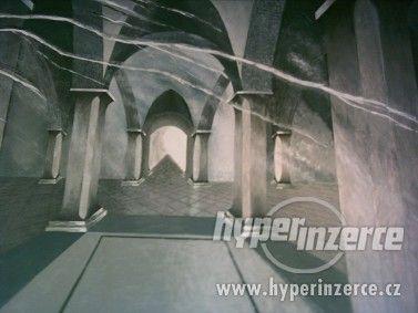OBRAZ PRO REPREZENTACI - foto 2