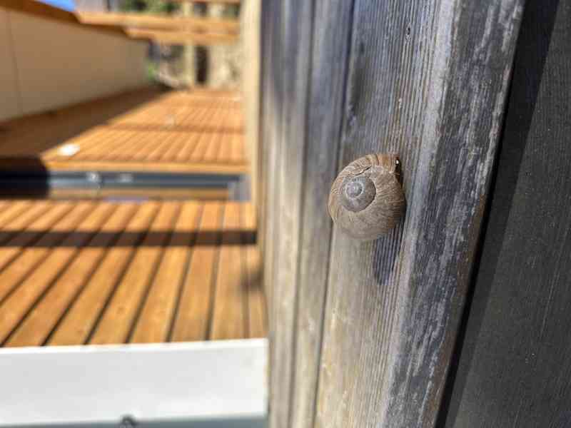 Prodej domu Rudíkov (okres Třebíč) - foto 23