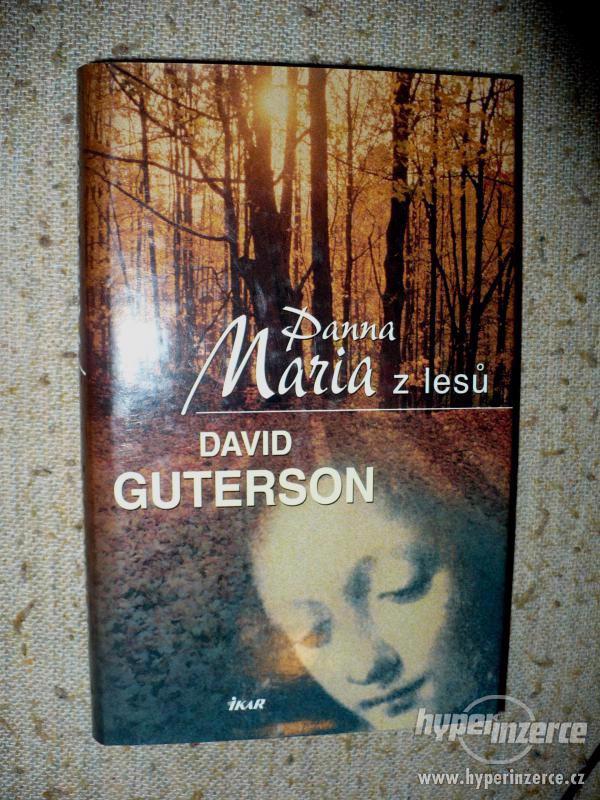 Kniha Panna Maria z lesů - foto 2