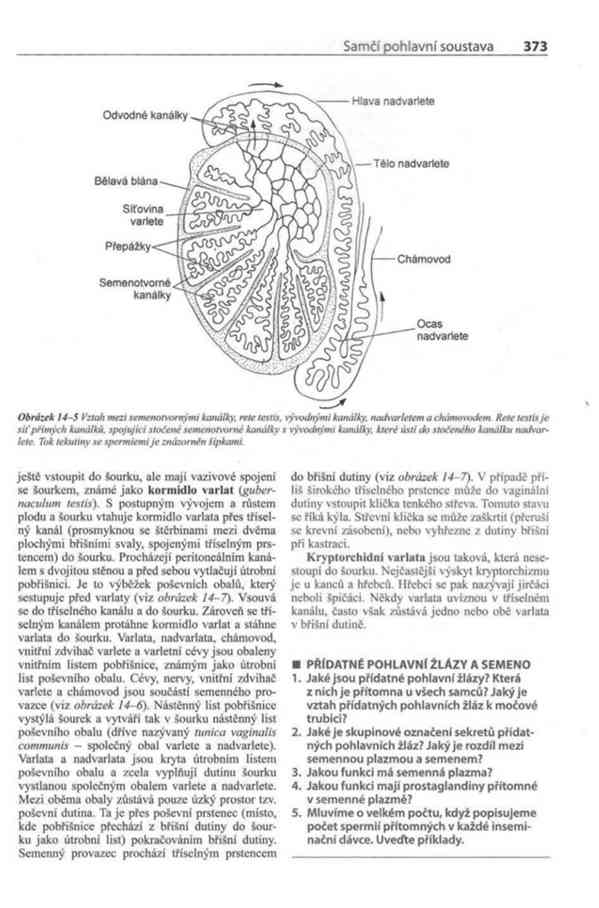 Fyziologie a funkční anatomie domácích zvířat v PDF - foto 18