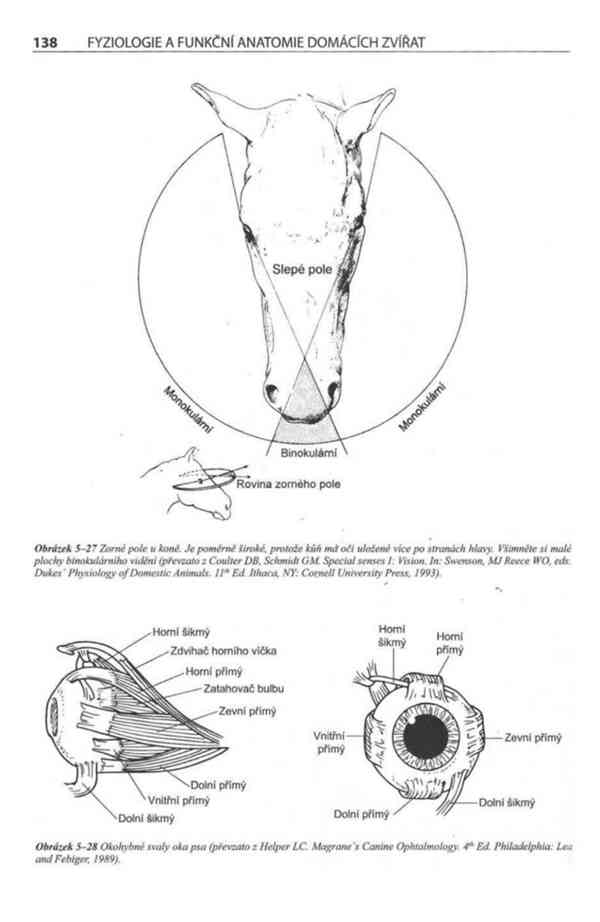 Fyziologie a funkční anatomie domácích zvířat v PDF - foto 15