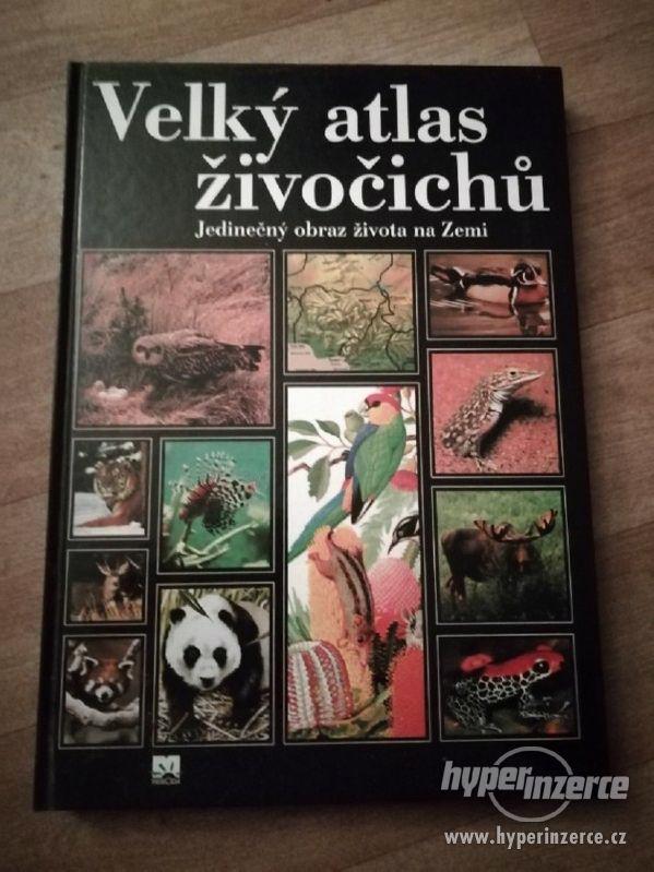 Kniha Velký atlas živočichů
