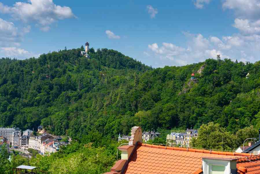 Prodej: VILLA EMILIE, Karlovy Vary - foto 8