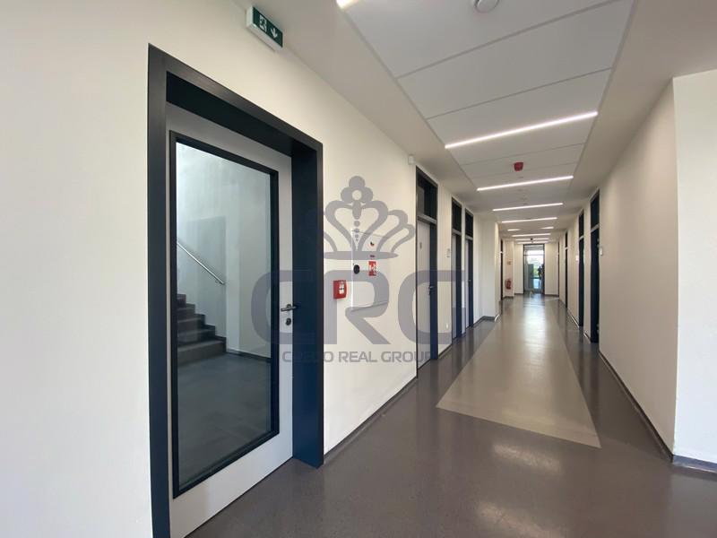 PRONÁJEM NOVĚ VYBUDOVANÝCH KANCELÁŘÍ O CP 38,2 M2 V BRNĚ - foto 6