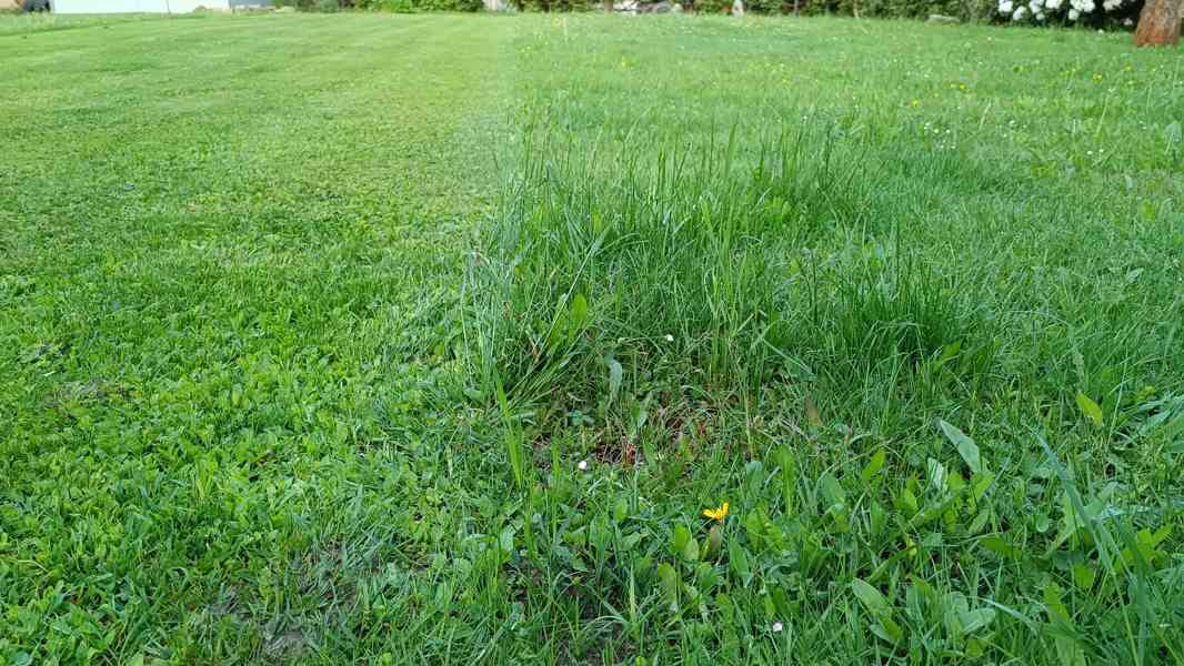 Sekání trávy, závlahy  - foto 4
