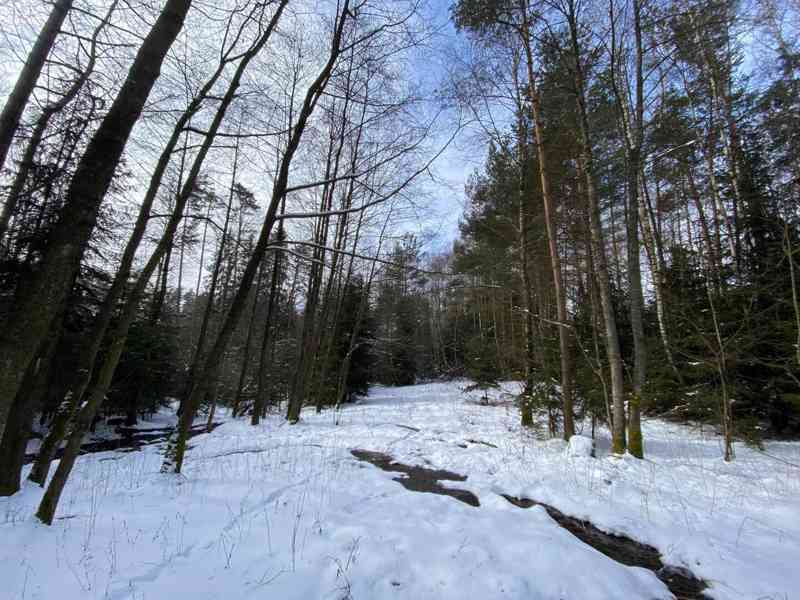 Pozemek ostatní plocha Brandlín - foto 6