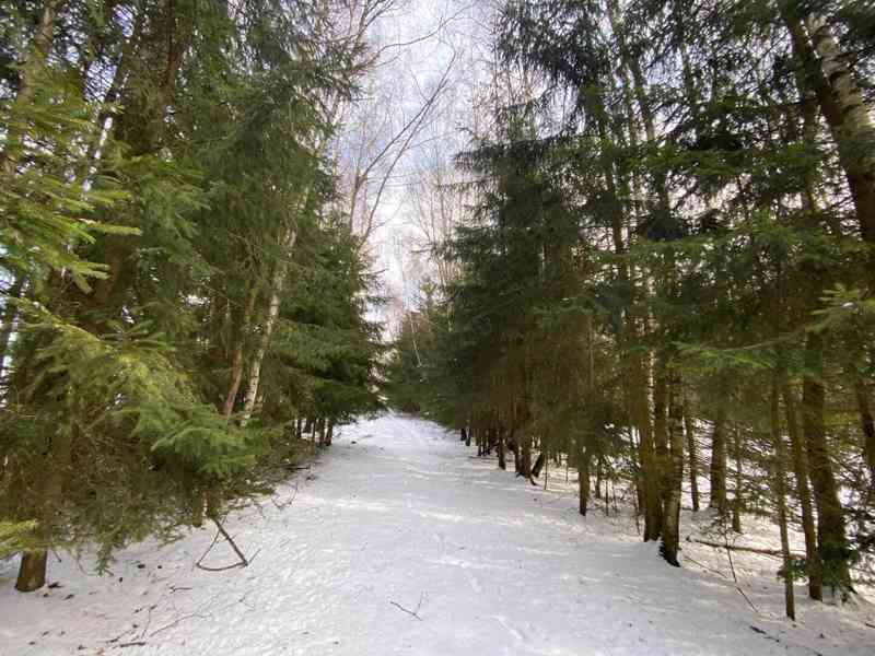 Pozemek ostatní plocha Brandlín - foto 5