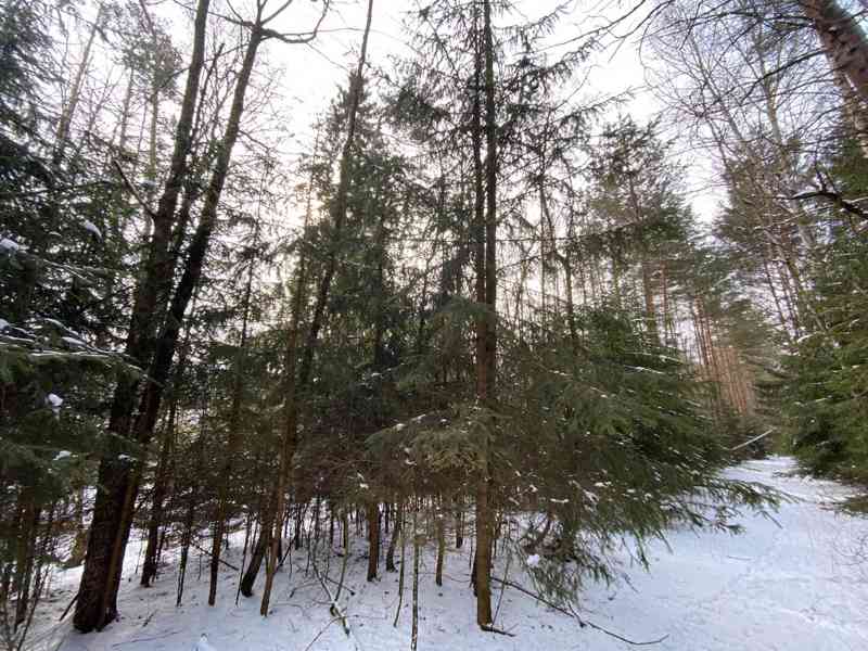 Pozemek ostatní plocha Brandlín - foto 3