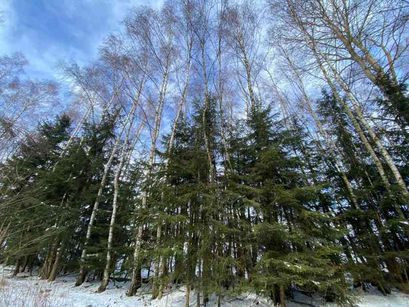 Pozemek ostatní plocha Brandlín - foto 4
