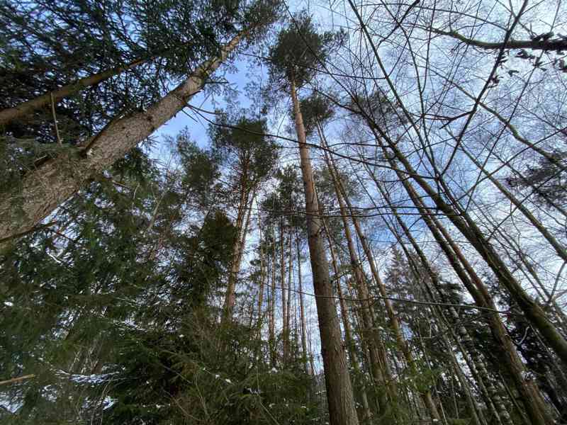Pozemek ostatní plocha Brandlín - foto 2