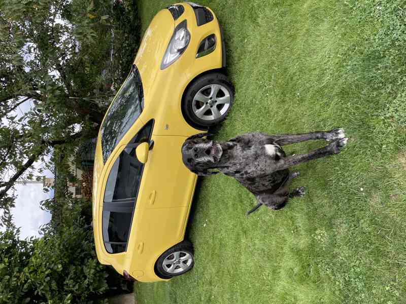 Opel Corsa 2014, nadstandardní výbava, výborný stav,90 tisíc - foto 3