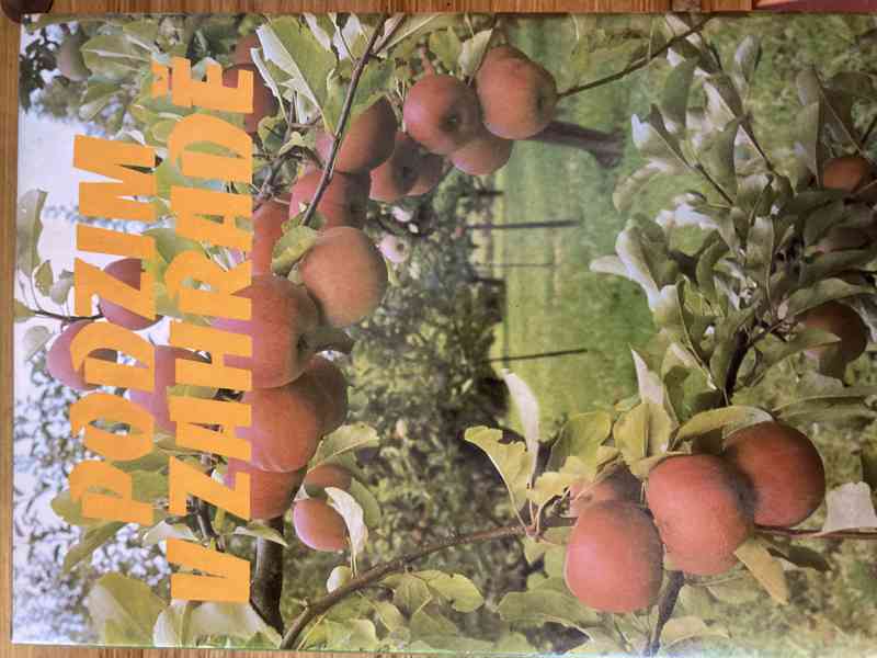 Knihy - komplet Jaro, Léto, Podzim, Zima v zahradě - foto 5