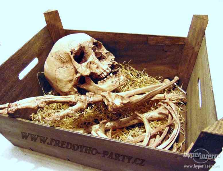 Prodej dokonalých replik lidských ostatků - lebky a kosti - foto 3