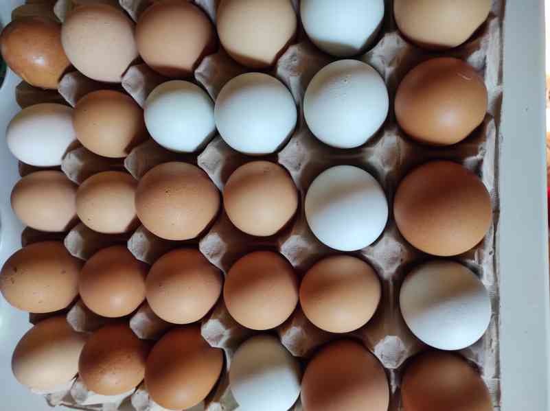 Domácí vejce - foto 1