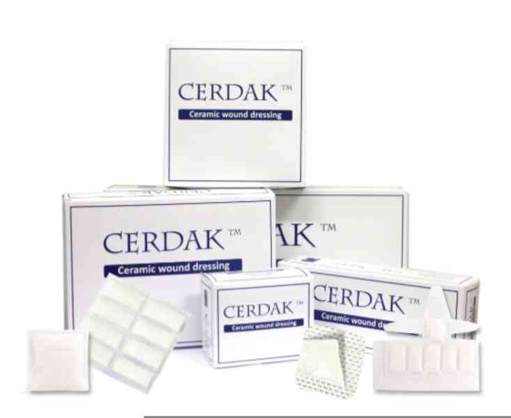 Cerdak