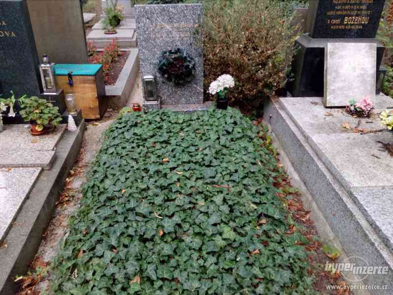 Prodej hrobu na Olšanských hřbitovech - foto 1