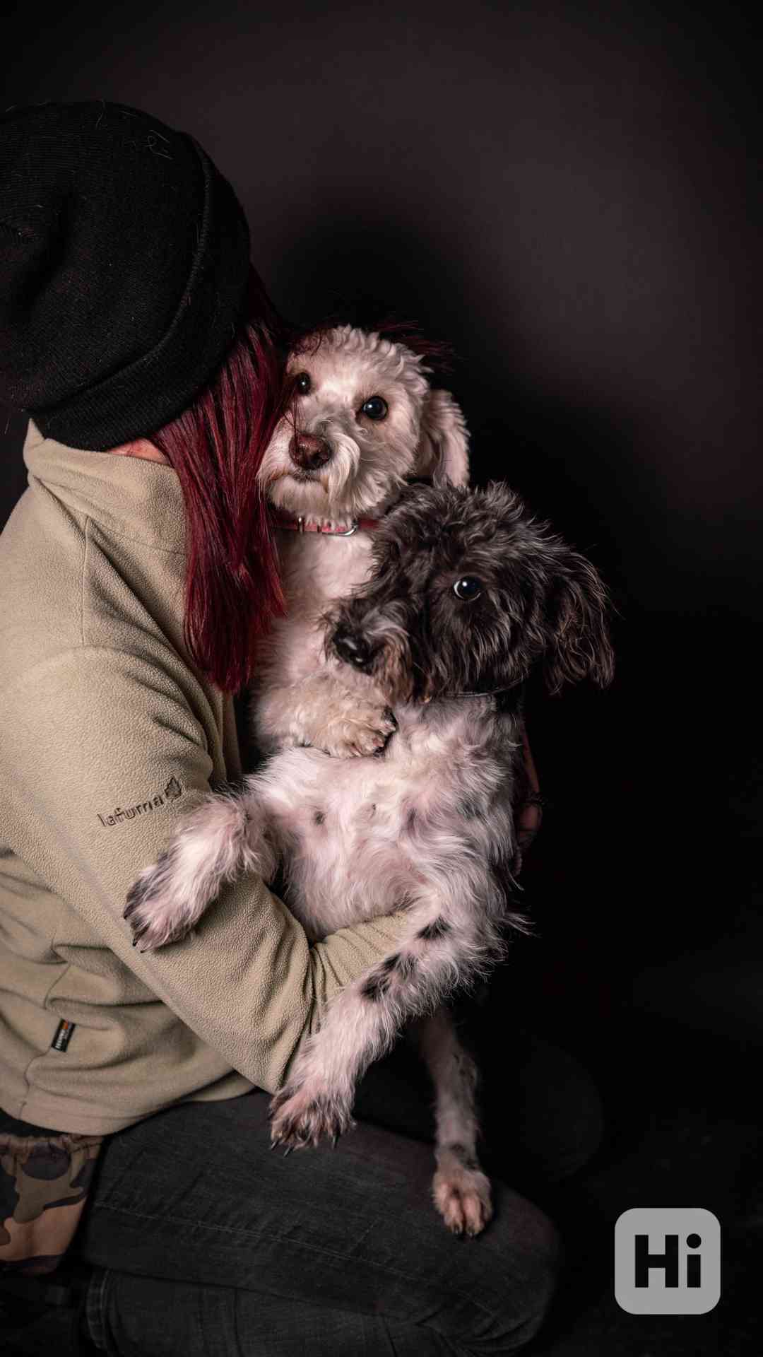 Jessie a Dášenka - dvě aktivní holky hledají společný domov - foto 1