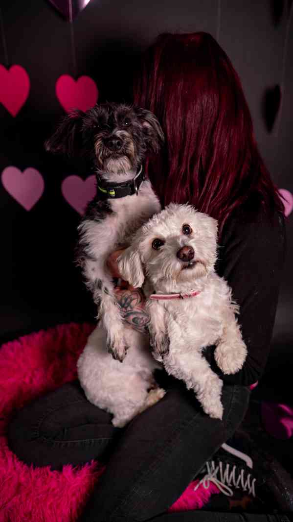 Jessie a Dášenka - dvě aktivní holky hledají společný domov - foto 10