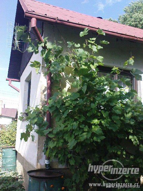 Sokolov-Vítkov-Novina - chatka se zahrádkou - foto 1