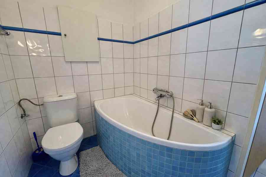 Pronájem bytu 1+kk s velkým rohovým balkónem a sklepem - foto 12