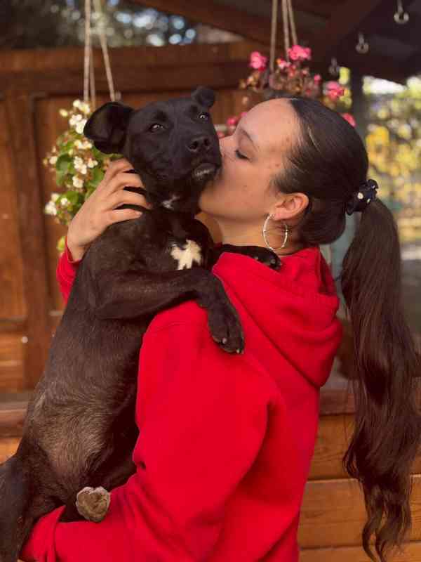 MIA - štěně 7 měsíců  - foto 3