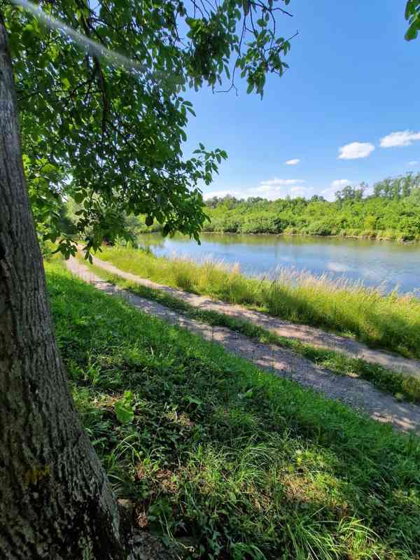 Zahrada Hozloky 711 m2 - foto 13