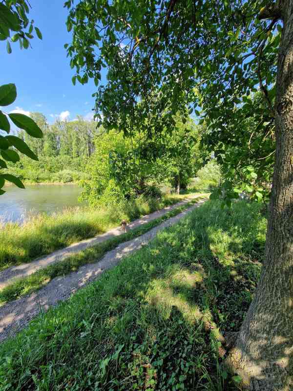 Zahrada Hozloky 711 m2 - foto 14