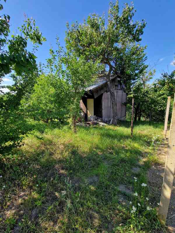 Zahrada Hozloky 711 m2 - foto 5