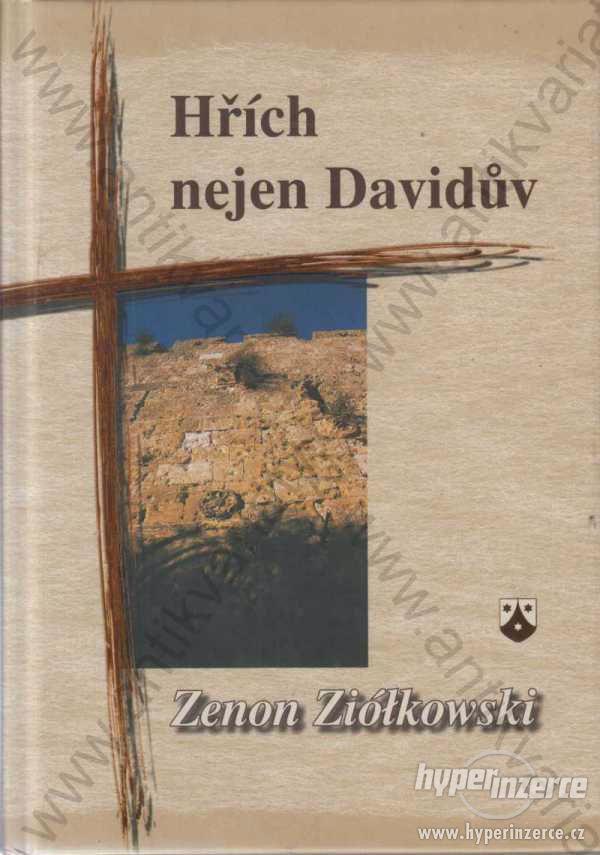 Hřích nejen Davidův Zenon Ziolkowski 2004 - foto 1