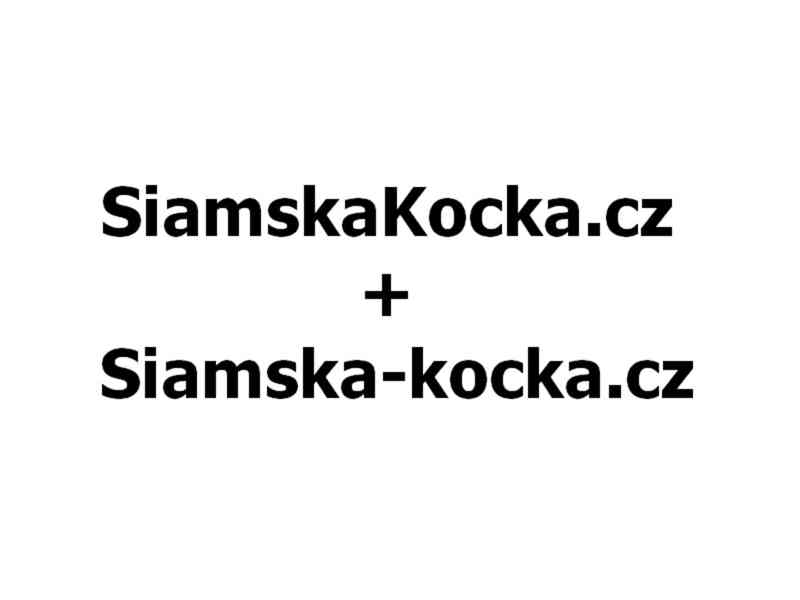SiamskaKocka.cz + Siamska-kocka.cz