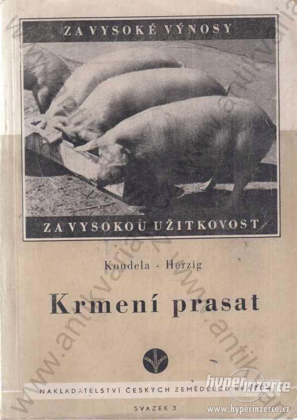 Krmení prasat Koudela, Herzig 1950 - foto 1