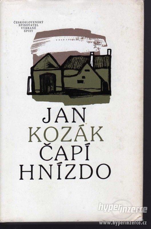 Čapí hnízdo  Jan Kozák- 1986 - foto 1