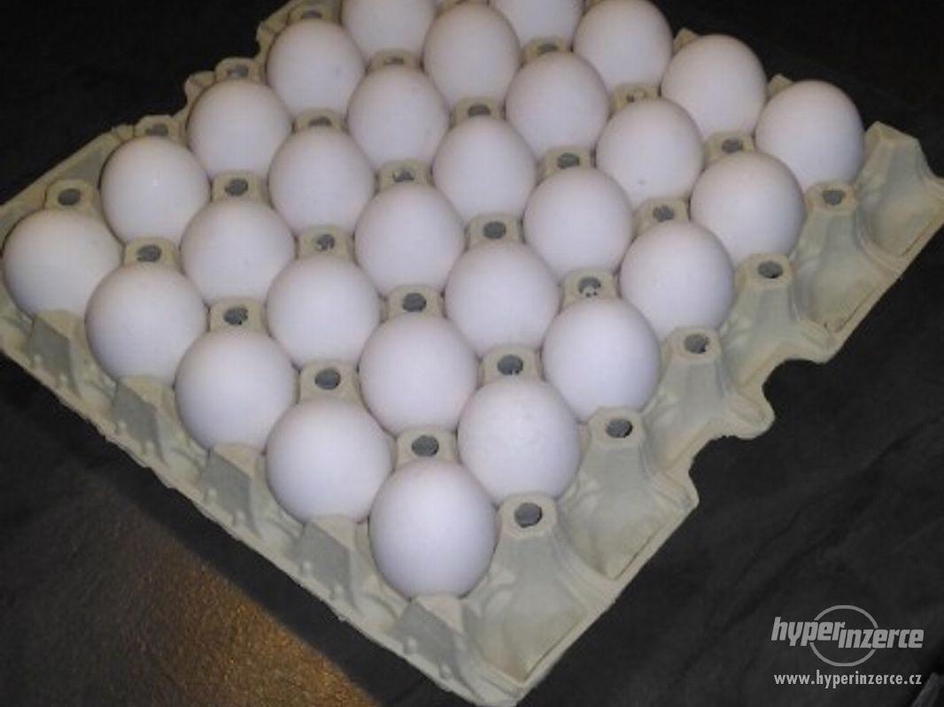 Prodám domácí lahodná vajíčka z volného chovu,bez chemie - foto 1