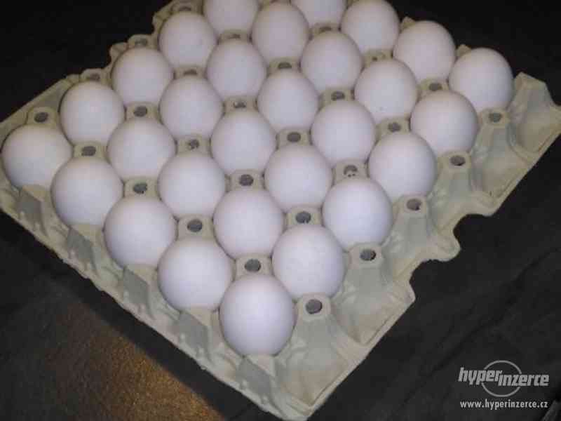 Prodám domácí lahodná vajíčka z volného chovu,bez chemie - foto 1
